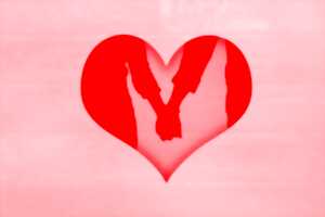 photo La nuit des z'amours