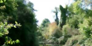 photo Visite guidée de la réserve naturelle d'Offendorf : Initiation traces et indices de présence