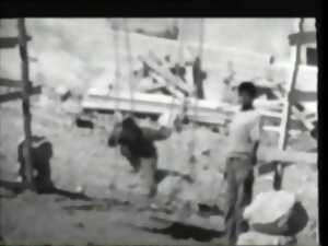 photo CINÉ-RENCONTRE : COURTS MÉTRAGES DE CAROLE ROUSSOPOULOS