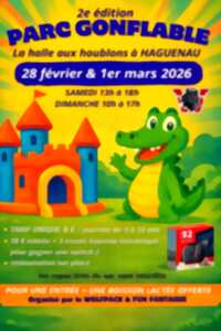 photo Animation Structure gonflable