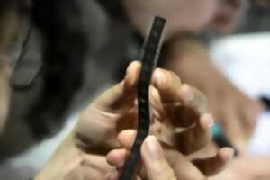 photo ATELIER : FAIRE UN FILM EN DESSINANT