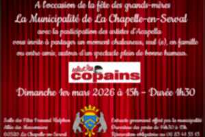 photo Spectacle Salut Les Copains