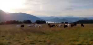 photo RANDO GOURMANDE SUR LES HAUTEURS DU SALAGOU