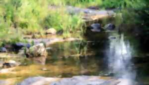 photo EXPLORATION SENSIBLE LES PIEDS DANS LA BOYNE #2