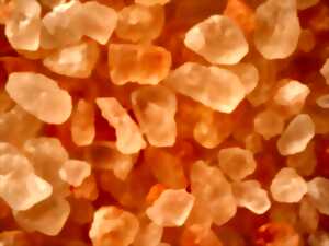 photo Conférence : Les chemins secrets de la contrebande