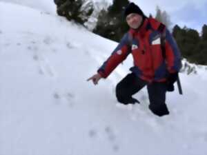 photo SORTIE NATURE SUR LES TRACES DES ANIMAUX