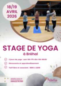 photo Stage de yoga