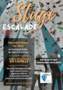 photo Stages d'escalade