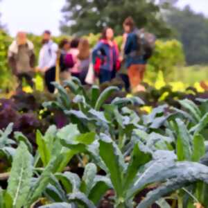 photo Le salon de l'agriculture s'invite à la médiathèque