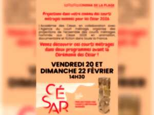 photo Projection de courts métrages nommés