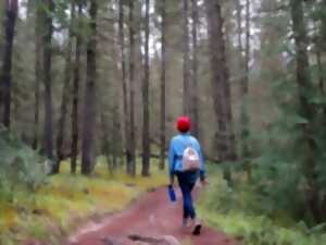 photo Randonnée pédestre