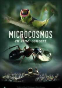 photo Ciné concert Microcosmos, le peuple de l'herbe