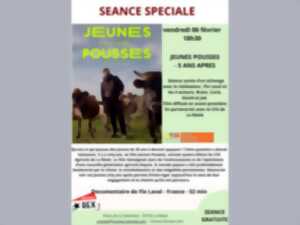 photo Jeunes pousses - 5 ans apres