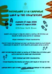 photo Promenade à la campagne