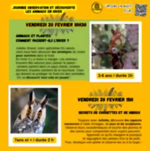 photo Animaux et plantes : comment passent-ils l'hiver ?