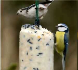 photo Atelier : Miam Miam pour les piafs