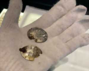 photo Les mercredis atelier - Créé ta plaque militaire