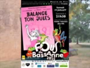 photo Festival Les Fous de Bassanne
