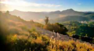 photo L’AUVERNE : PIERRE SÈCHE ET PAYSAGES