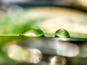 photo Salon : Les artisans du bien-être