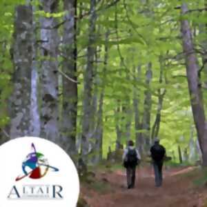 photo Conférence Ataïr : Dans les forêts