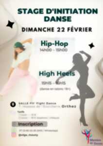 photo Stage d'initiation danse
