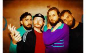 photo Concert de Tickles et Split