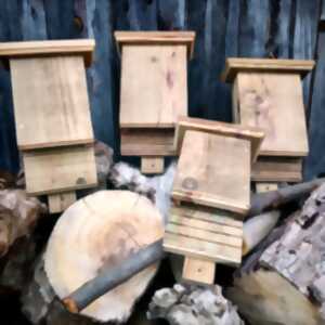 photo Un abri pour nos amies les chauves-souris