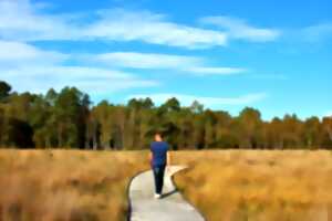 photo Escapades Nature : Mardi soir au bord de l'eau