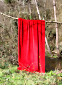 photo Laissez verdure