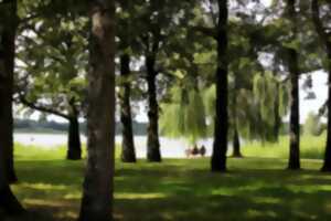 photo Escapades nature : les ailes des étangs