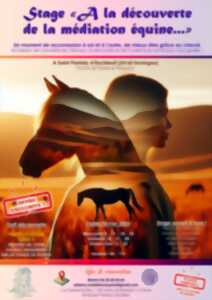 photo Stage À la découverte de la médiation équine