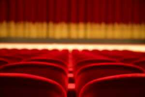 photo Théâtre - Le cochon d'Inde