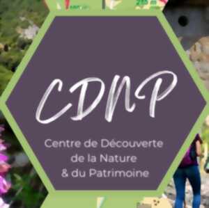 photo Soirée contée