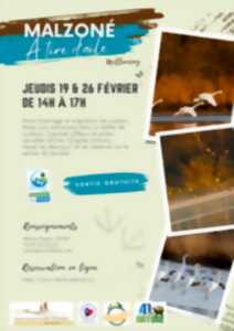 photo A tire d’aile à l’étang de Malzoné