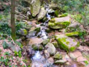 photo BALADE NATURE ET PATRIMOINE 