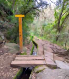 photo BALADE NATURE ET PATRIMOINE 