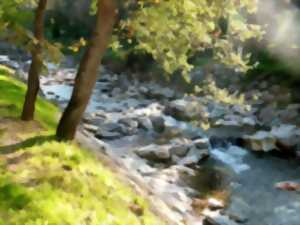 photo BALADE NATURE ET PATRIMOINE 