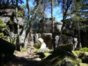 photo Les Randonnées Pique-nique : Le Tour du Taennchel