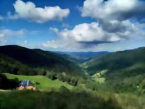 photo Les Randonnées Pique-nique : Crête et Forêts du Val d'Argent
