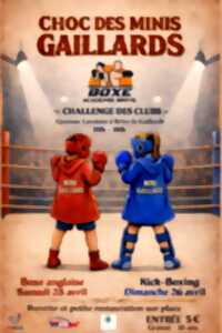 photo Choc des minis gaillards: Boxe anglaise (Gymnase Lavoisier)