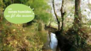 photo Sortie entre les jalles : venez découvrir Castelnau-de-Médoc