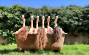 photo Spectacle : Attention à ta tête