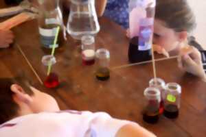 photo Activités Petites Vacances