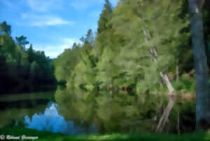 photo Découverte d’une vallée humide des Vosges du Nord