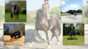 photo Stage : Tir à l'arc