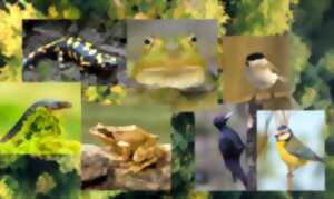 photo Randonnée saisonnière : L'éveil du printemps