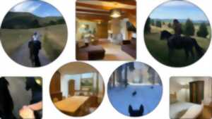 photo Balade givrée