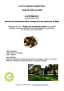 photo Découverte des beautés de la création à travers les plantes de la Bible