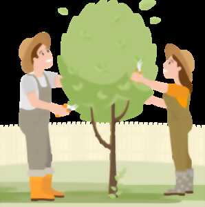 photo Stage de taille fruitière douce à Saint-Michel-Léparon